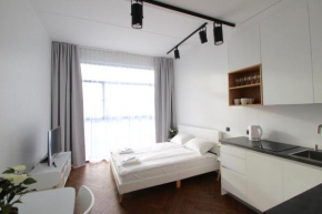 Baltic Accommodation 1 - Rumbi 4-36, Tallinn